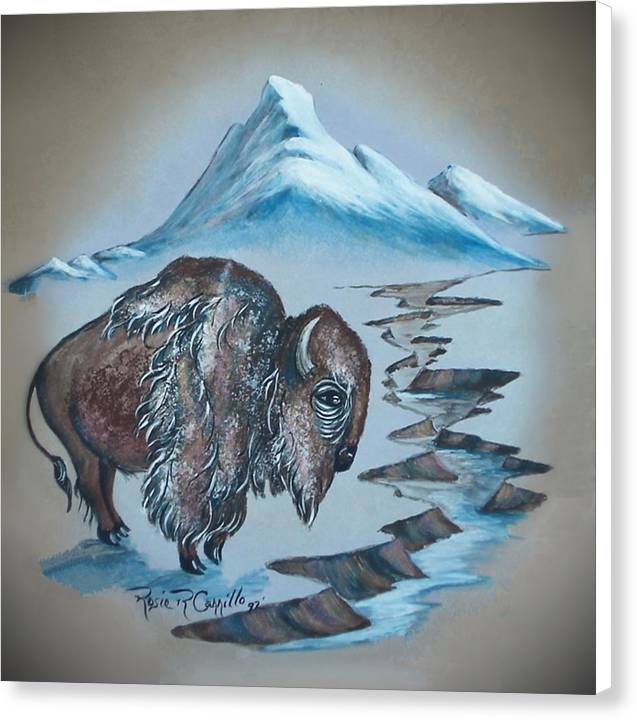 A lone cold Buffalo  - Canvas Print