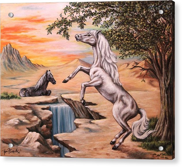 Journey 1 - Acrylic Print