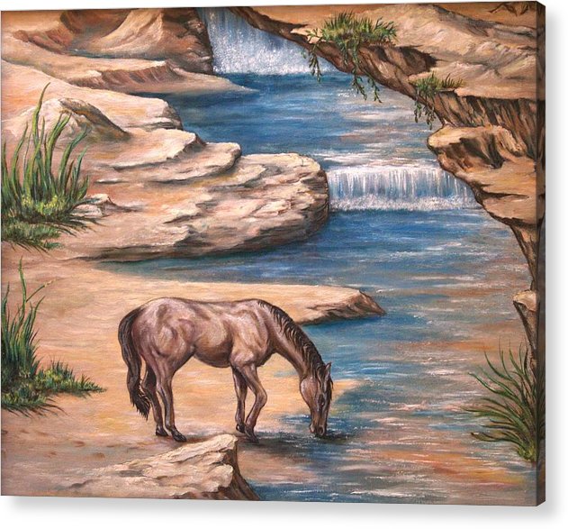 Journey 2 - Acrylic Print