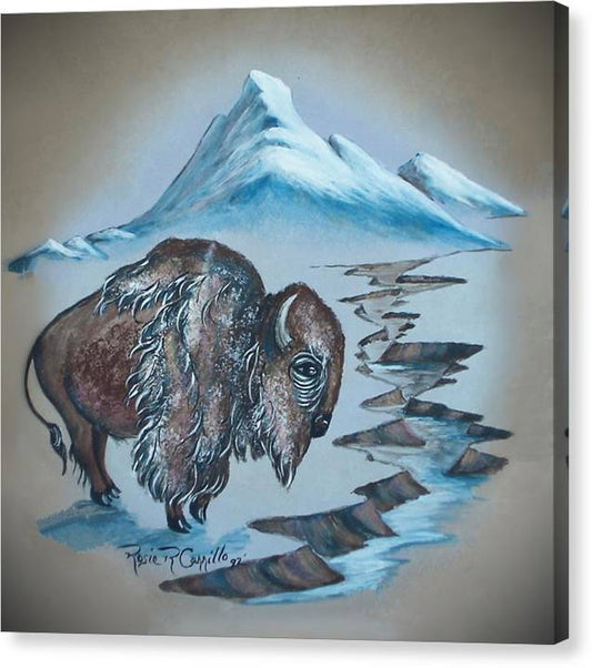 A lone cold Buffalo  - Canvas Print